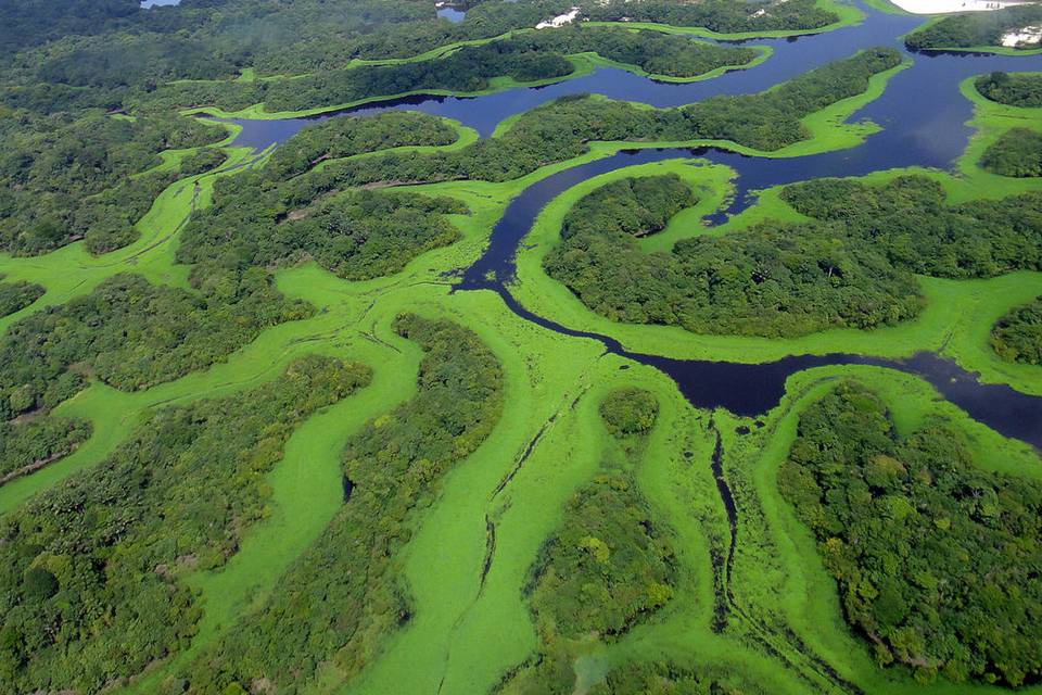 Amazzonia - Brasile