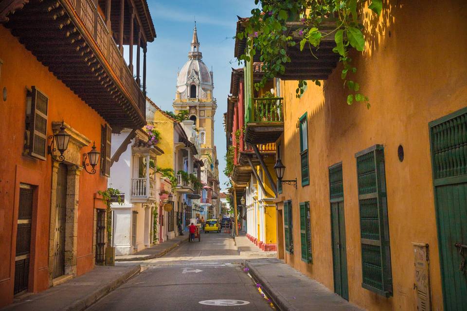 Piantagione di caffè Colombia