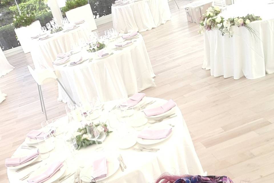Iammgine