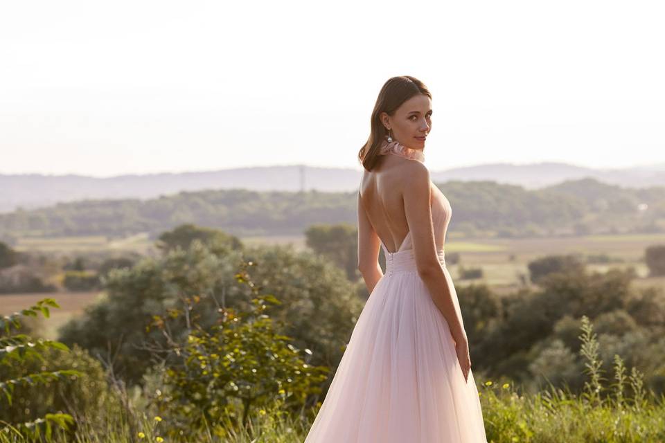 Alma Novia