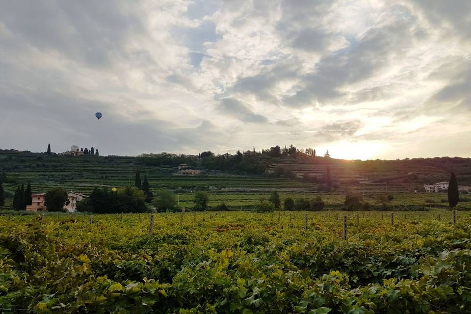 Iseo Mongolfiere