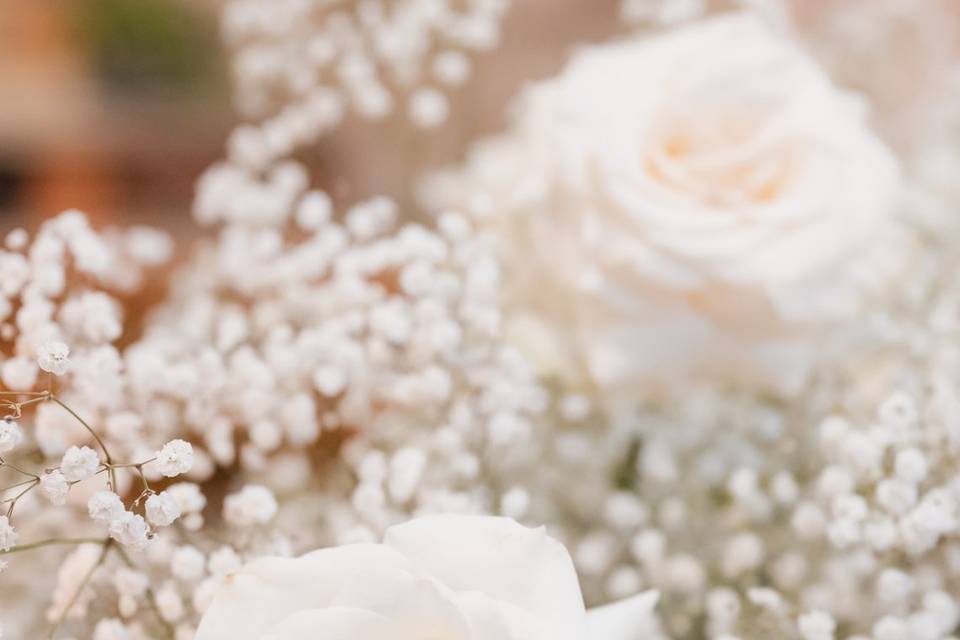 Valentina Bertoldi Photography