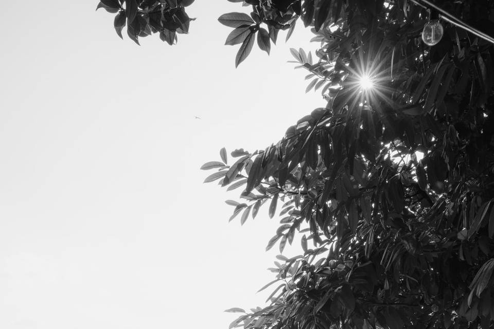 Valentina Bertoldi Photography