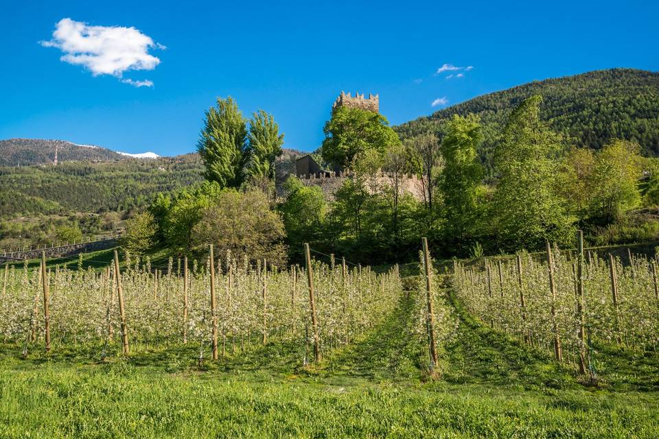 Chateau La Tour de Villa