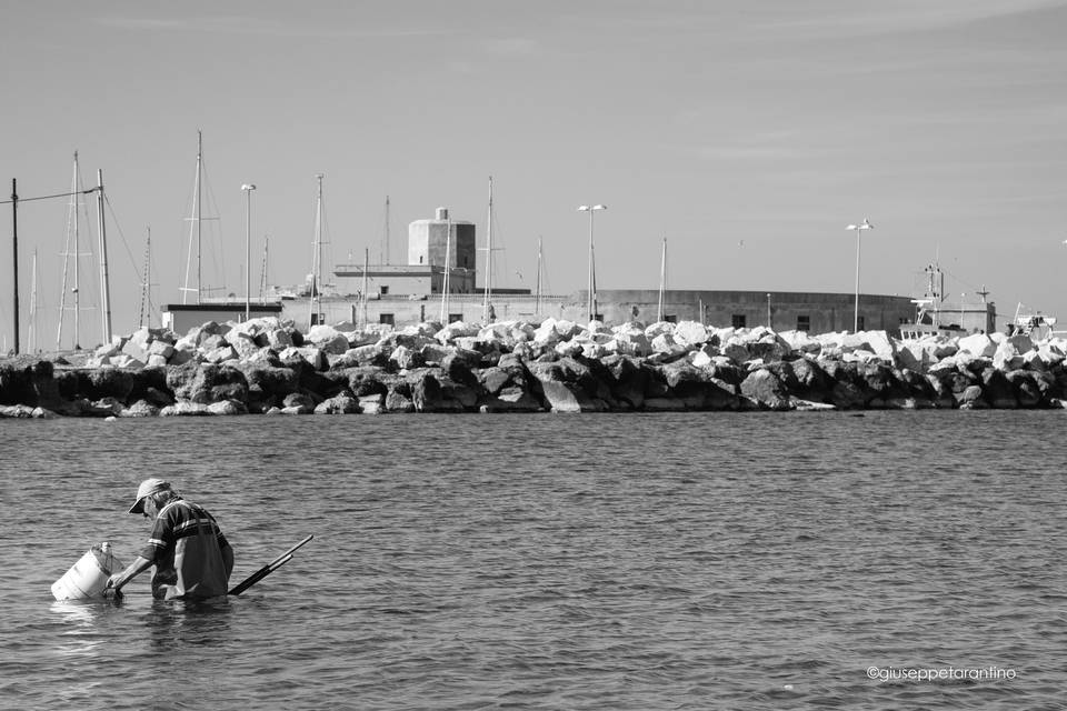 Trapani