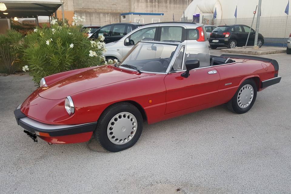 Alfa Romeo spider