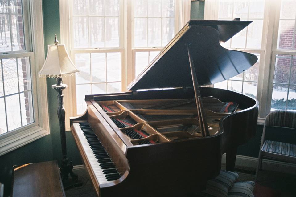 Silvano organista e pianista