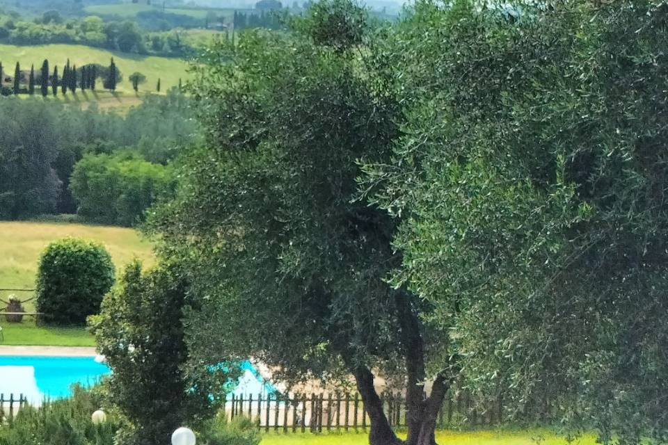 Wedding in siena