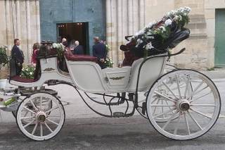 Il Boss dei Matrimoni in Carrozza