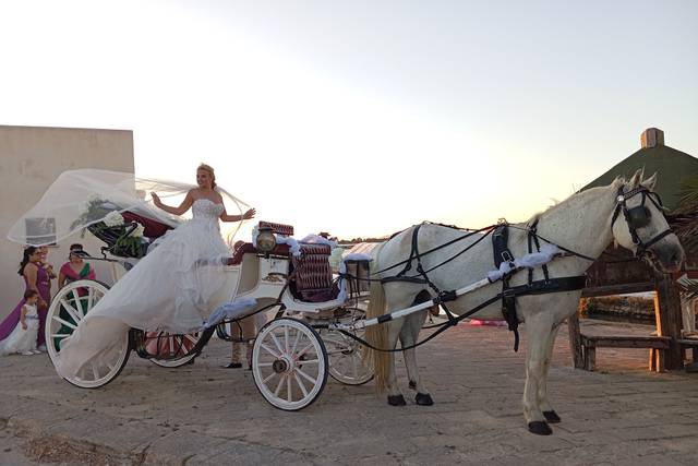 Il Boss dei Matrimoni in Carrozza