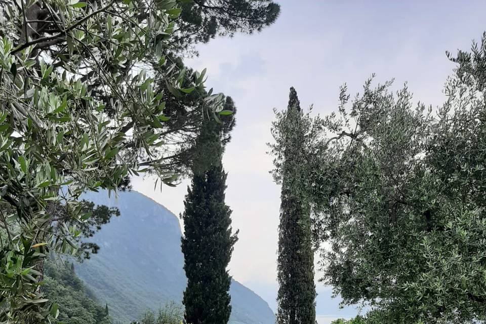 Matrimonio Lago di Como