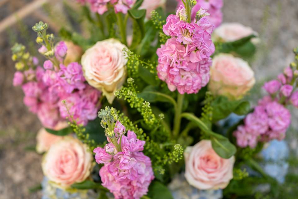 Fiori variopinti