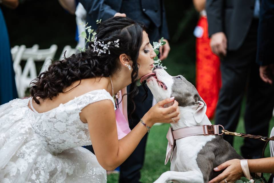 Bride and dog