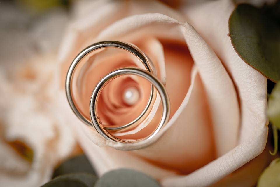Rings and rose
