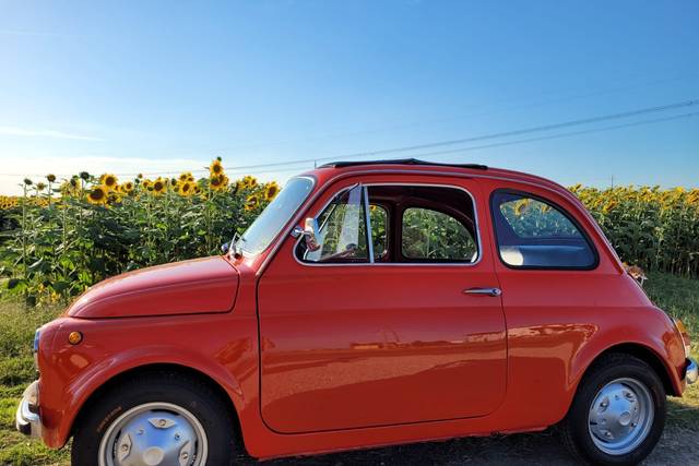 La Rossana con Girasoli