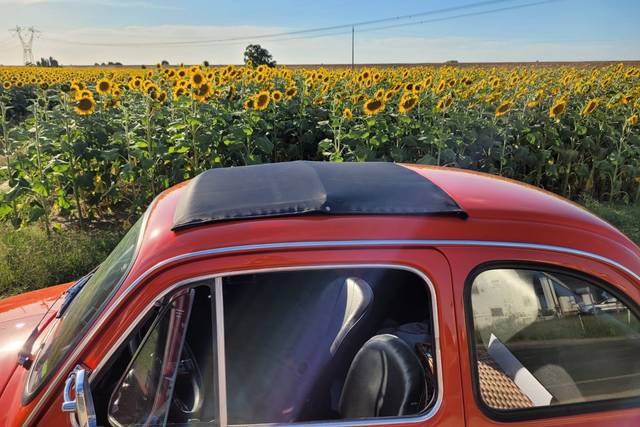 Il tetto della Rossana