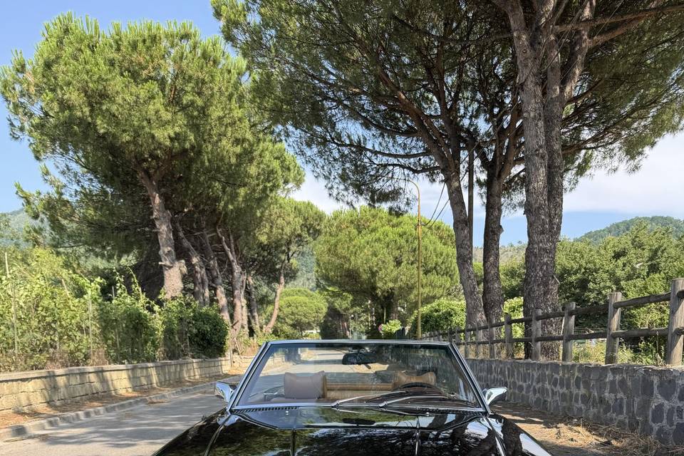 Mercedes sl350