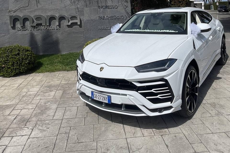 Urus