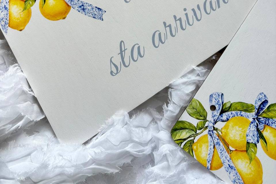 Cartello sposa