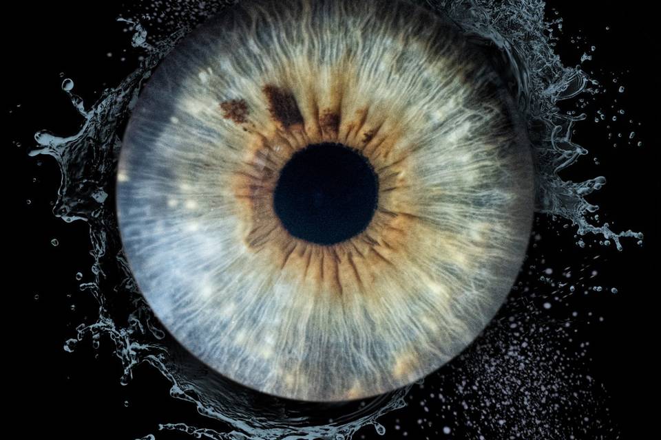 Acqua
