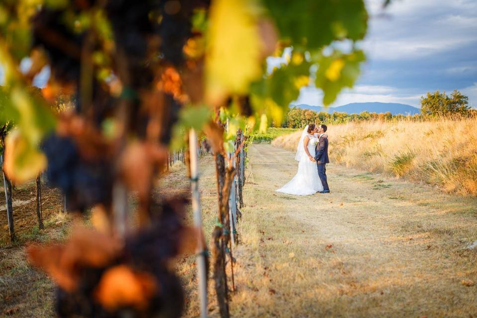 Matrimonio in vigna