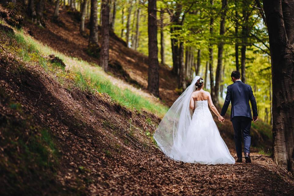 Matrimonio nel bosco