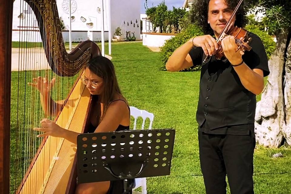 Duo arpa & violino