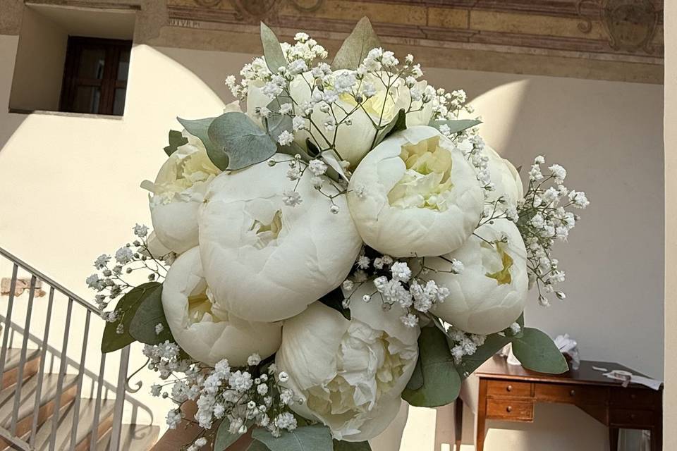 Peonie