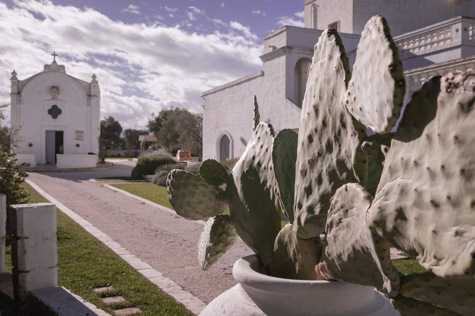 M+A Matrimonio in Masseria