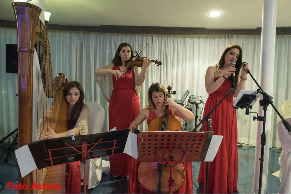 Red Quartet