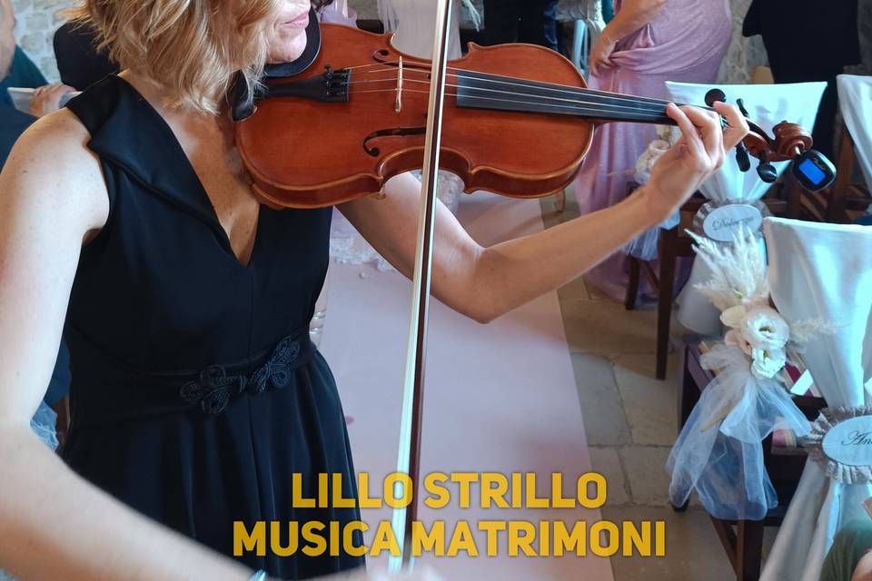Violino