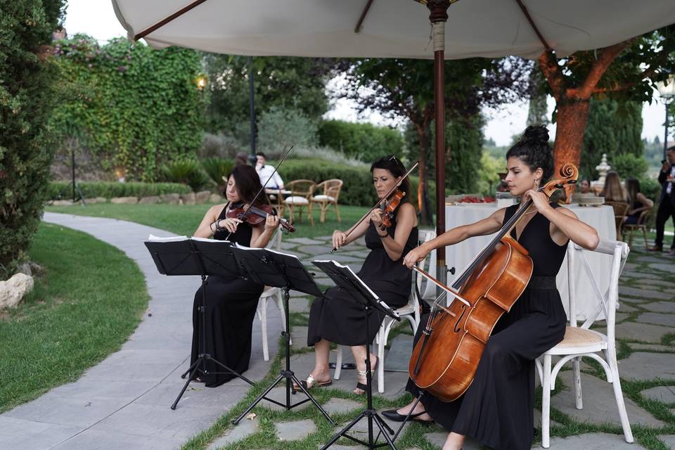 Live music