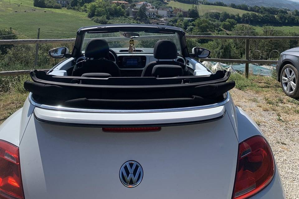 Cabrio