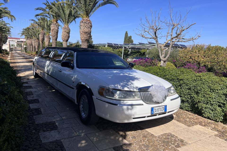 Limousine