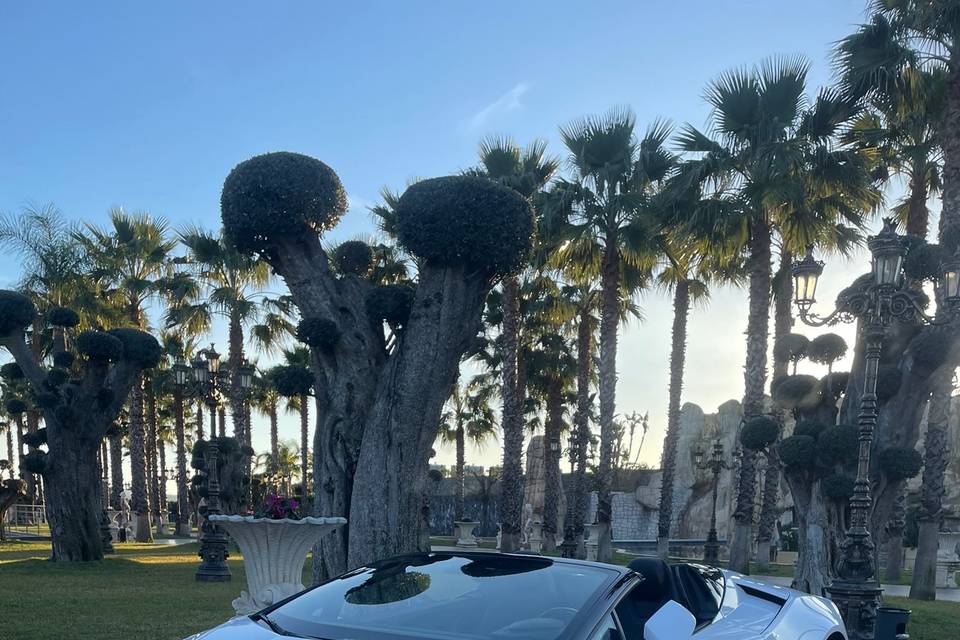 Lamborghini huracan cabrio