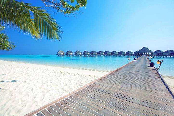 Maldive