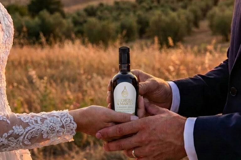 Allba in Maremma - La Contea