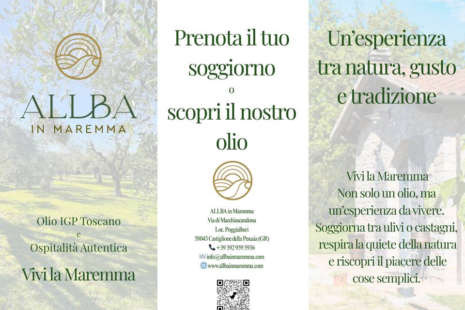 Brochure 1
