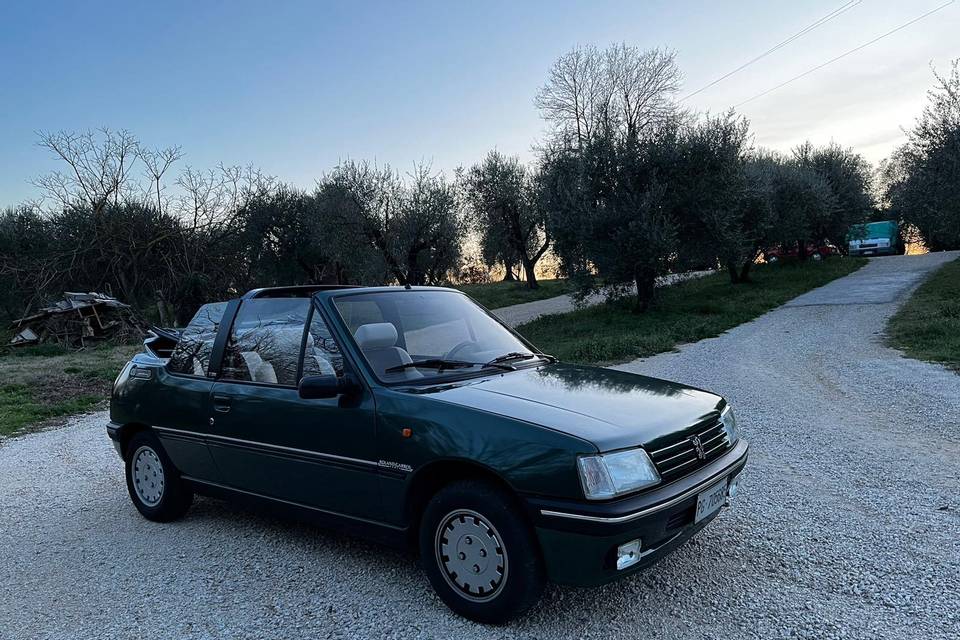 Peugeot 205 Roland Garros del