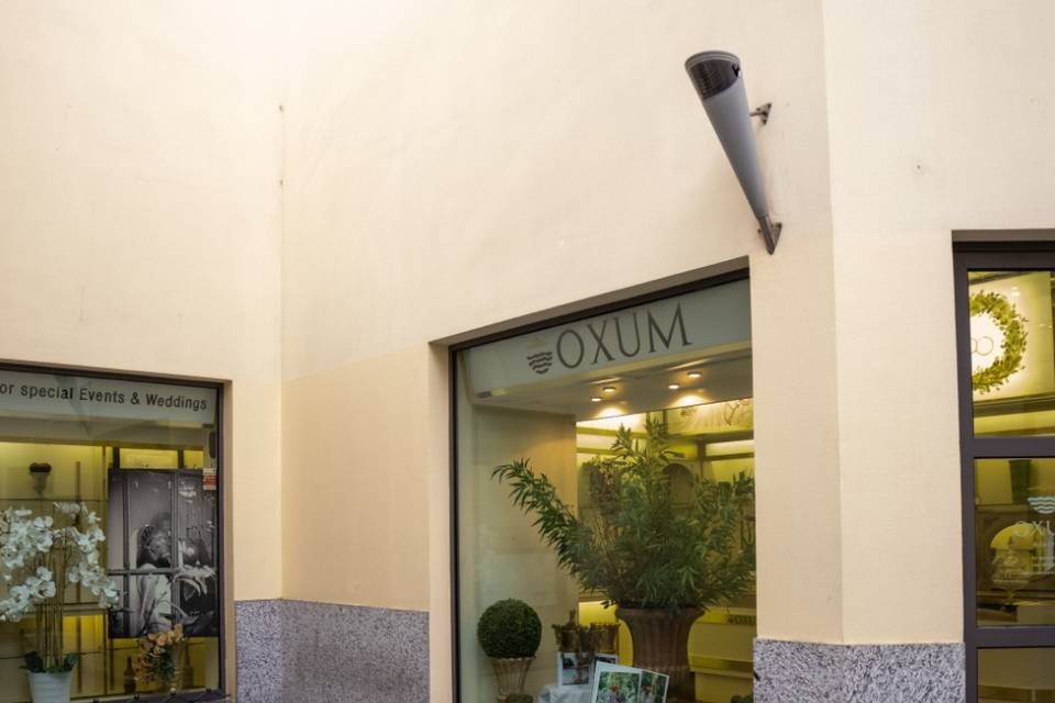 Oxum - Your Italian Partner