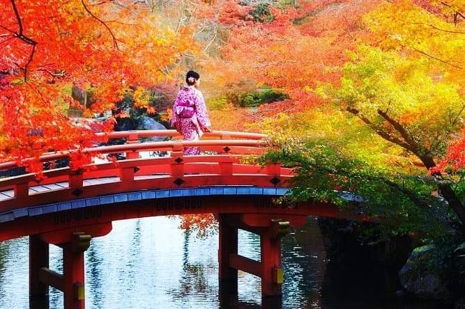 Autumn in Japan