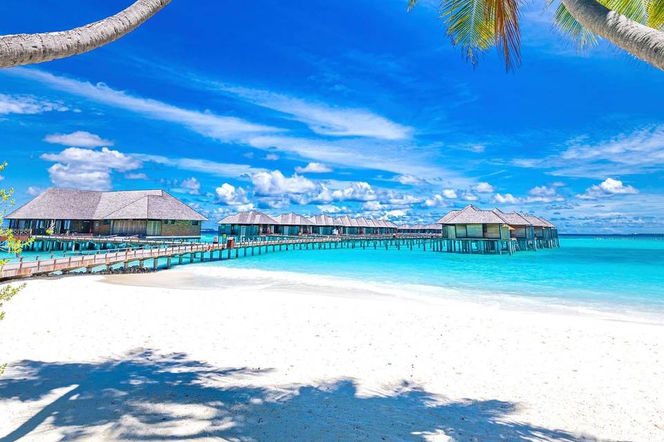 Maldives