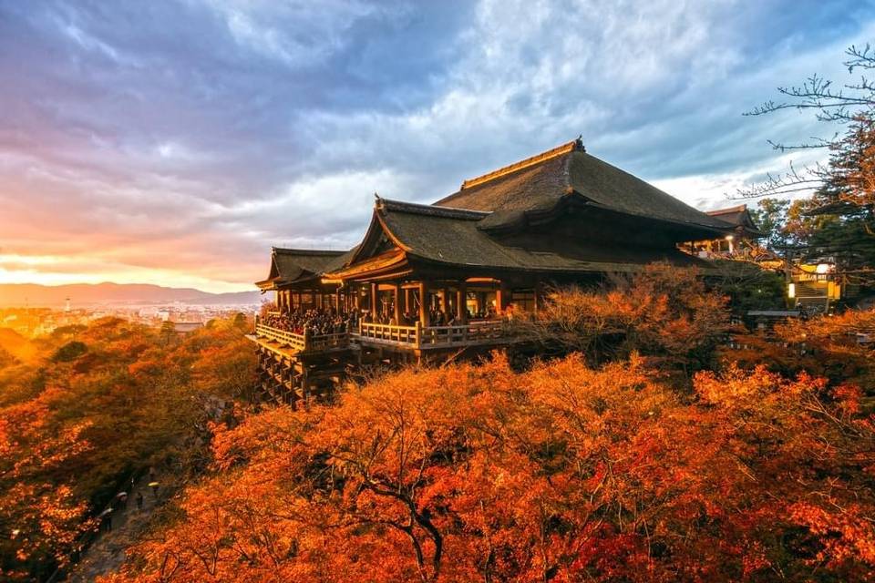 Autumn in Japan