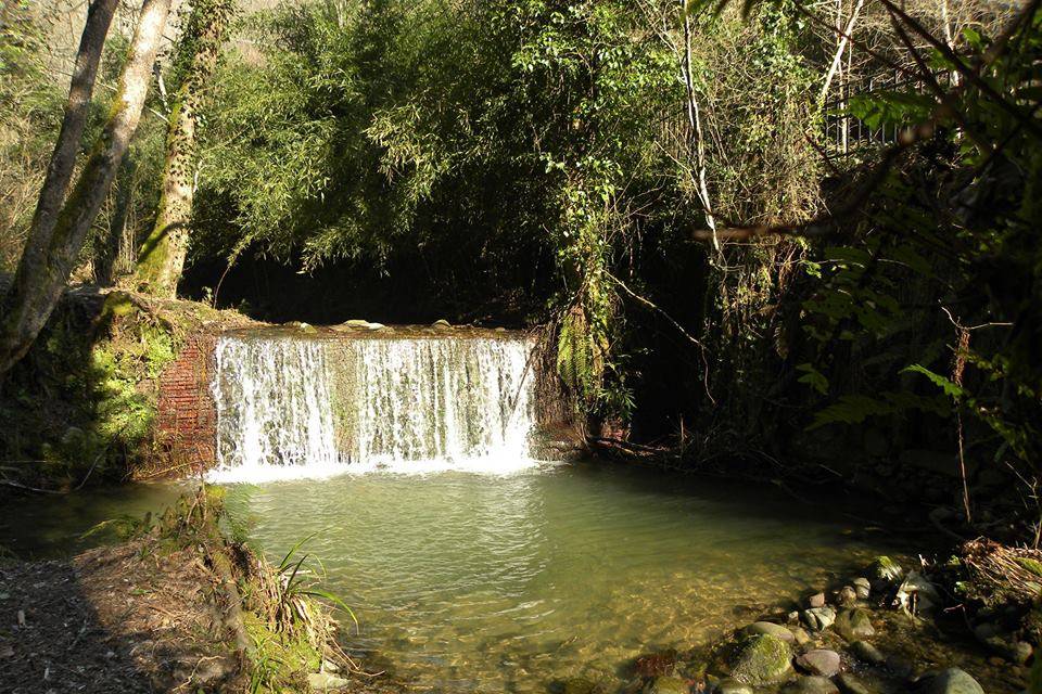 Cascata al giardino Yen