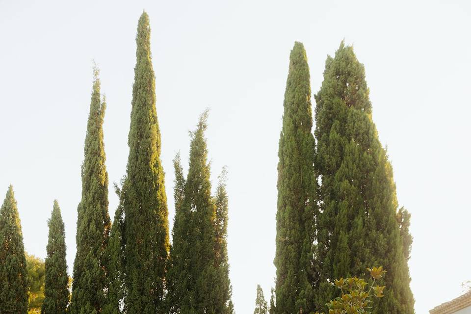 Giardini