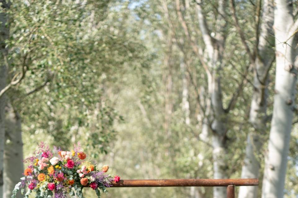 D + M // Fattoria Settepassi