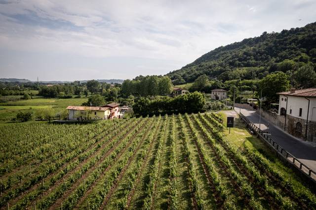 Vivilo Franciacorta
