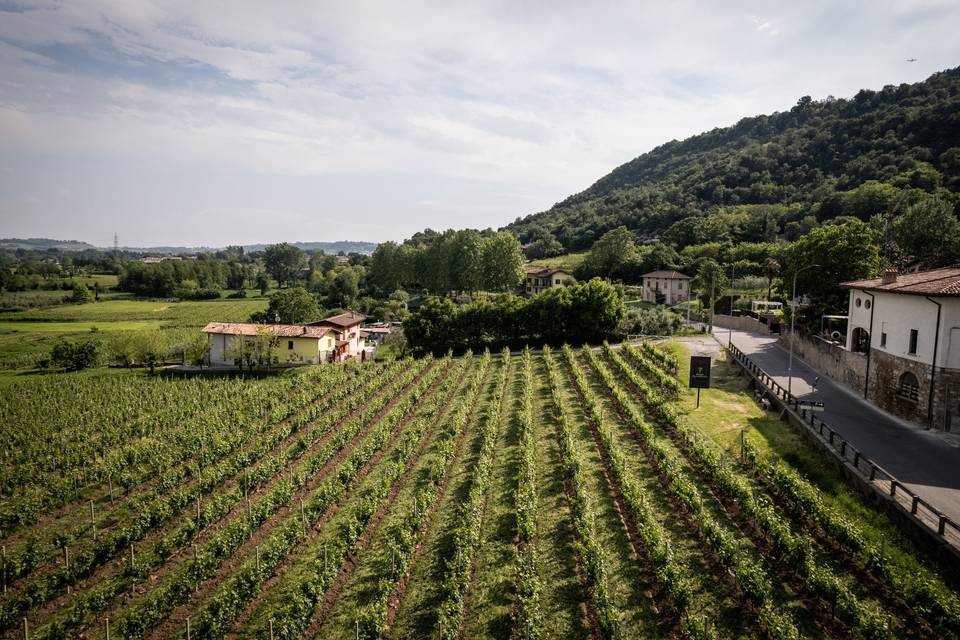 Vivilo Franciacorta