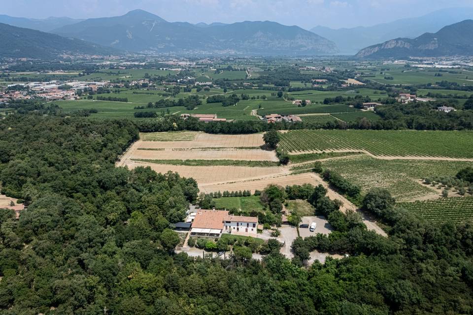 Vivilo al Priore