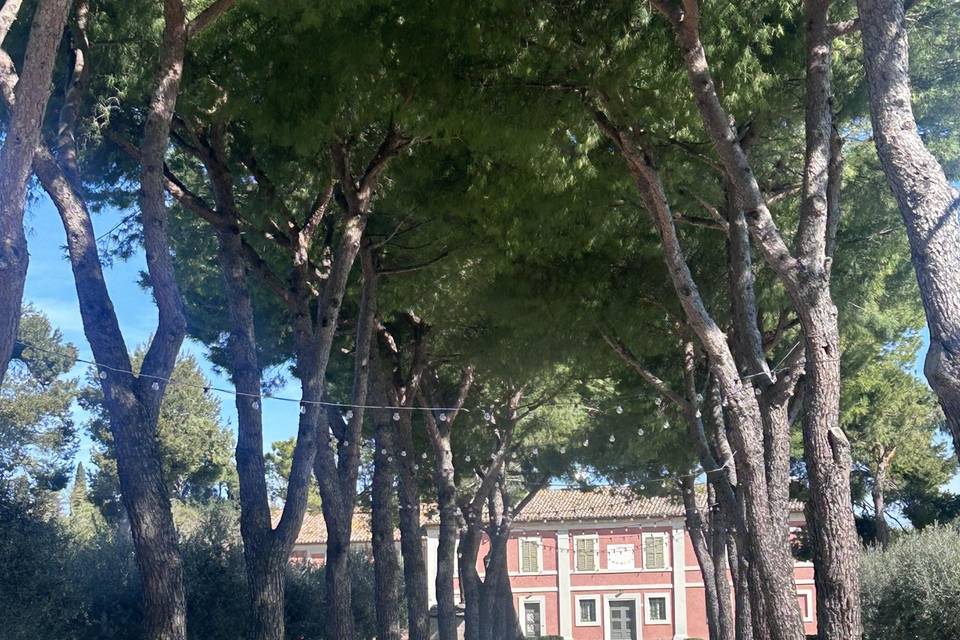 Eventi le Muse